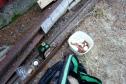 DSC00945